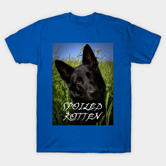 Black german shepherd spoiled rotten T-Shirt by Wanderingangel